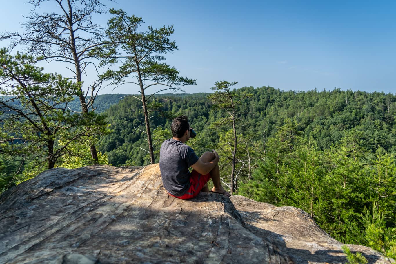 Best coffee in the Red River Gorge