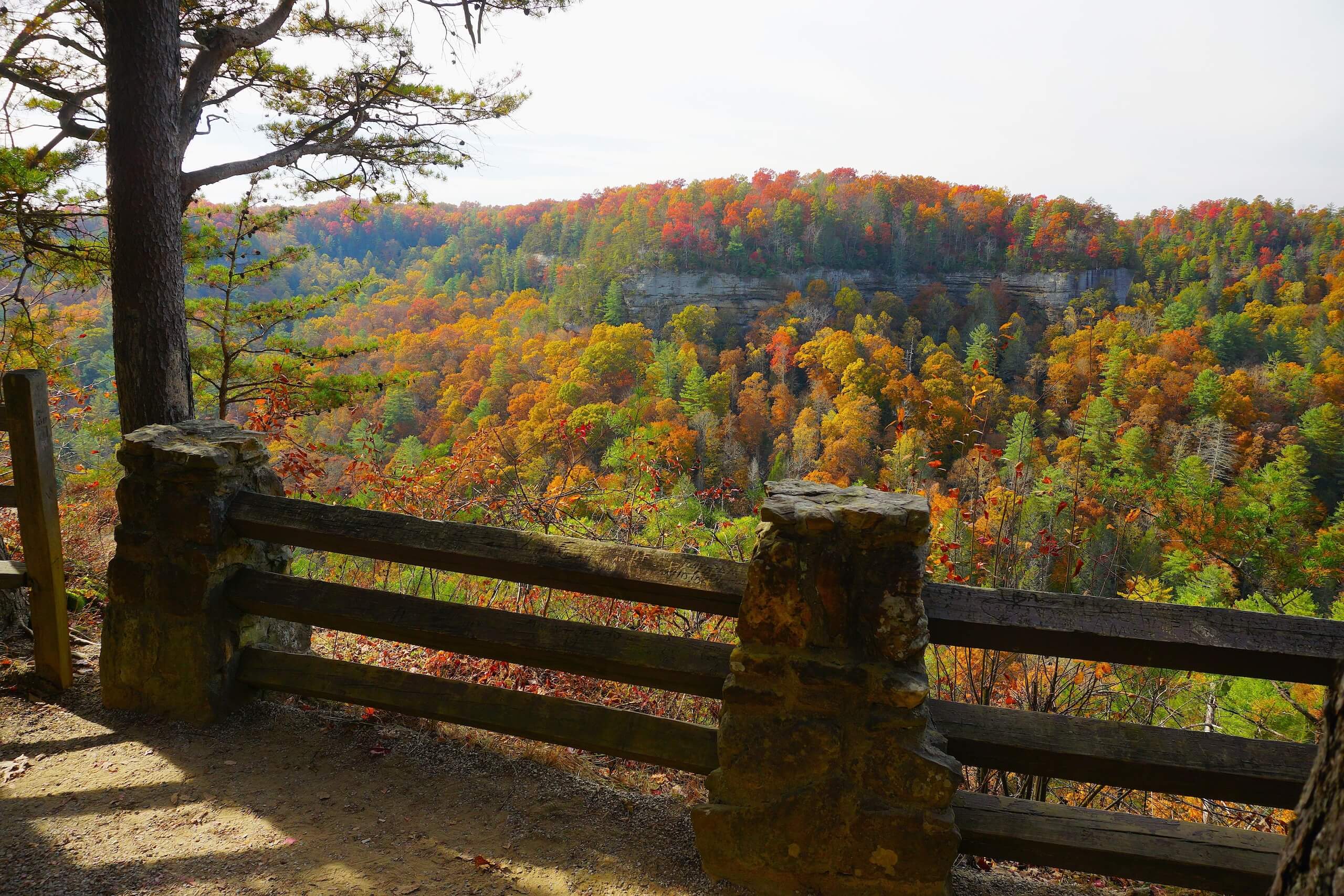 Trail through Red River Gorge