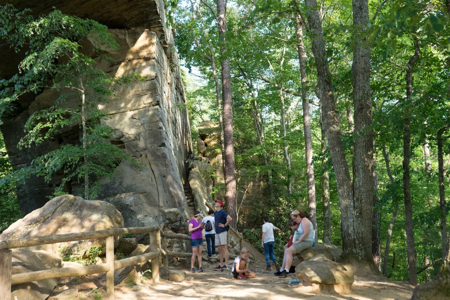 The Best Hiking Trails in The Red River Gorge for Families and Children