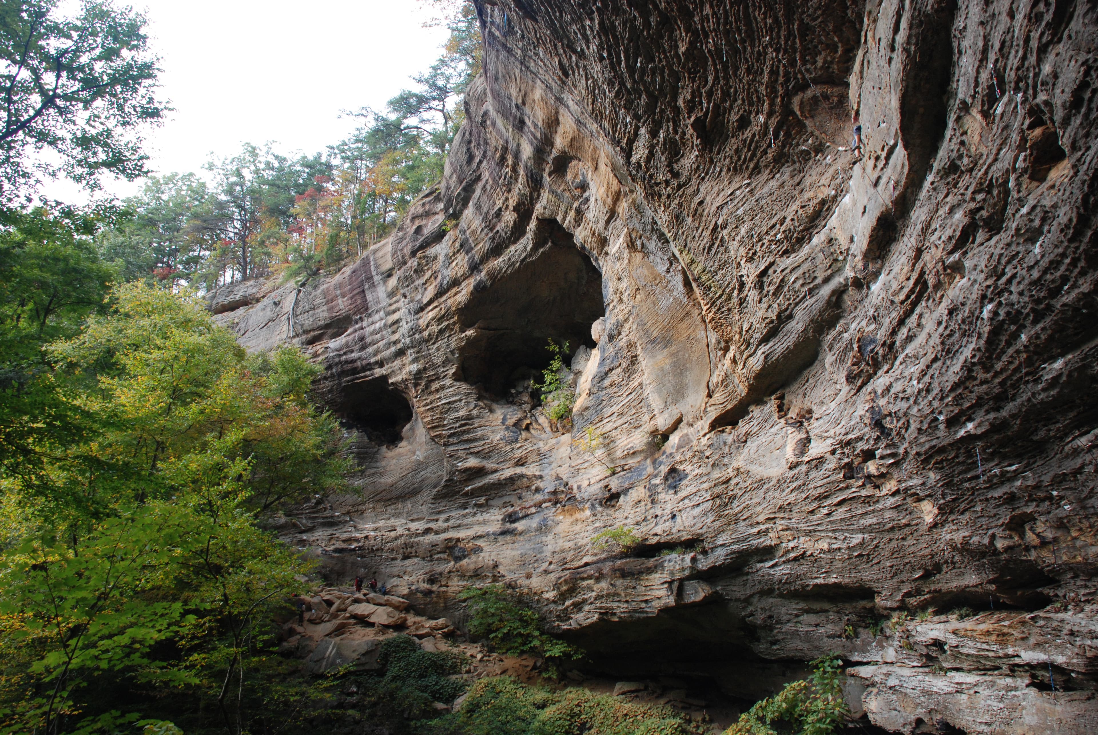 Top 5 Rock Climbing Locations in the Red River Gorge
