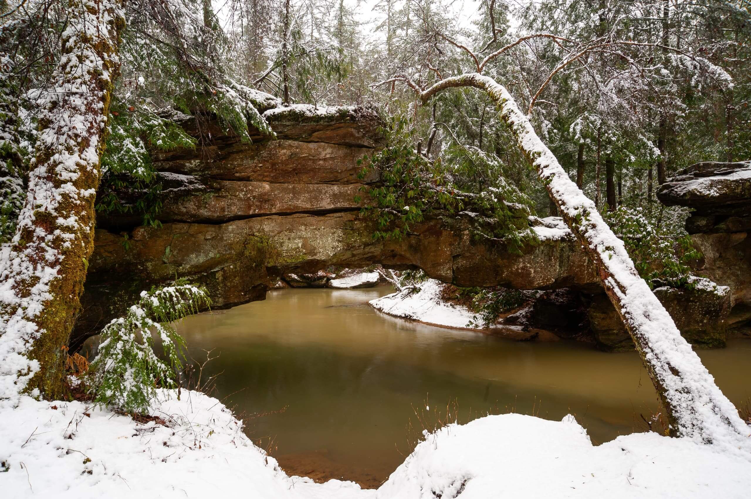 Winter in the Red River Gorge