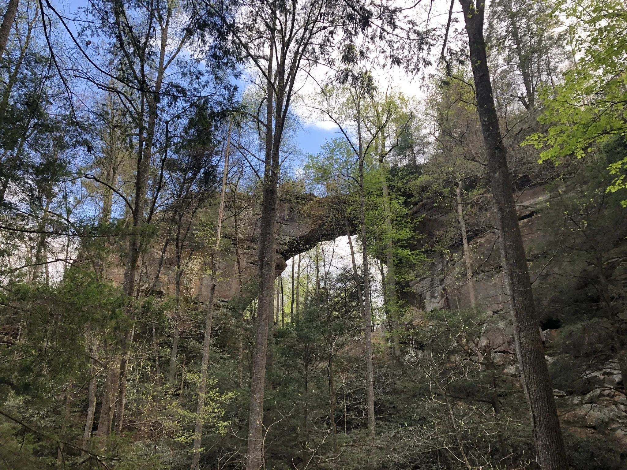 Gray's Arch in Red River Gorge, Kentucky