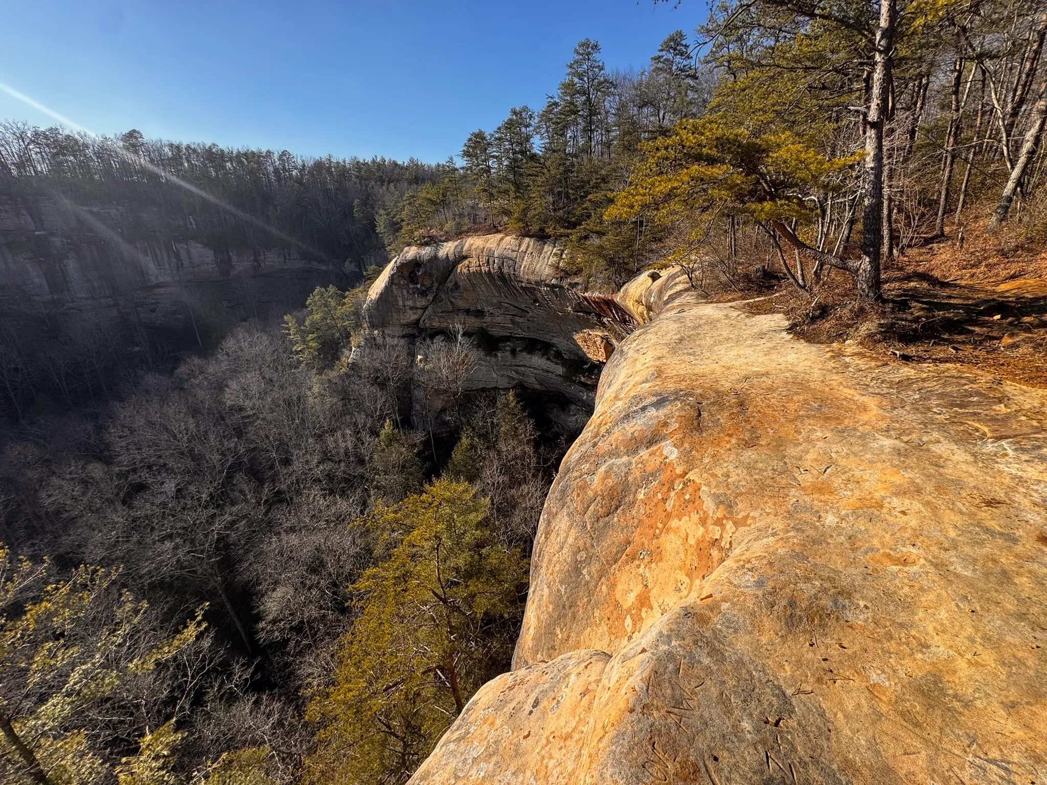 Indian Staircase trail in Red River Gorge, Kentucky